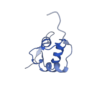 10674_6y2l_SZ_v1-0
Structure of human ribosome in POST state