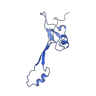 10674_6y2l_Sa_v1-0
Structure of human ribosome in POST state
