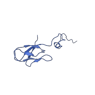 10674_6y2l_Sb_v1-0
Structure of human ribosome in POST state