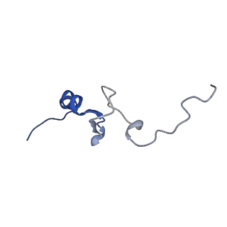 10674_6y2l_Sd_v1-0
Structure of human ribosome in POST state