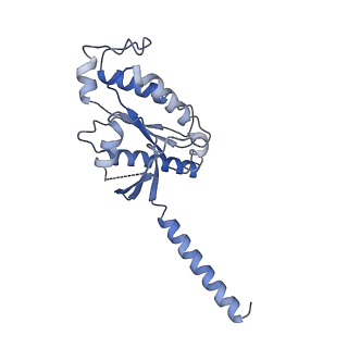 33585_7y24_A_v1-1
Cryo-EM structure of the octreotide-bound SSTR2-miniGo-scFv16 complex