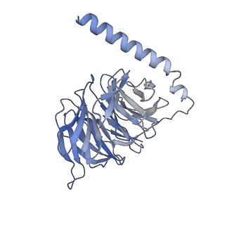 33585_7y24_B_v1-1
Cryo-EM structure of the octreotide-bound SSTR2-miniGo-scFv16 complex