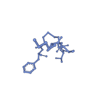 33585_7y24_C_v1-1
Cryo-EM structure of the octreotide-bound SSTR2-miniGo-scFv16 complex