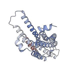 33585_7y24_E_v1-1
Cryo-EM structure of the octreotide-bound SSTR2-miniGo-scFv16 complex