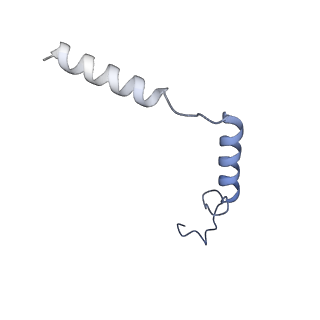 33585_7y24_G_v1-1
Cryo-EM structure of the octreotide-bound SSTR2-miniGo-scFv16 complex