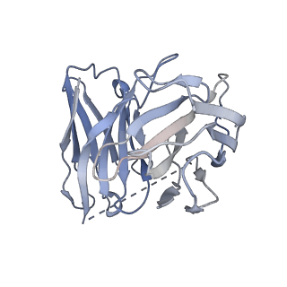 33585_7y24_S_v1-1
Cryo-EM structure of the octreotide-bound SSTR2-miniGo-scFv16 complex