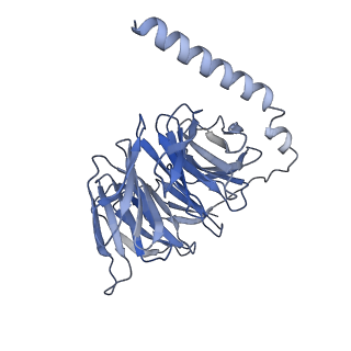 33586_7y26_A_v1-1
Cryo-EM structure of the octreotide-bound SSTR2-miniGq-scFv16 complex