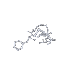 33586_7y26_C_v1-1
Cryo-EM structure of the octreotide-bound SSTR2-miniGq-scFv16 complex