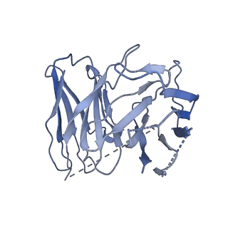 33586_7y26_D_v1-1
Cryo-EM structure of the octreotide-bound SSTR2-miniGq-scFv16 complex