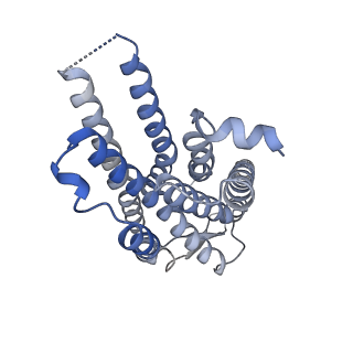 33586_7y26_E_v1-1
Cryo-EM structure of the octreotide-bound SSTR2-miniGq-scFv16 complex