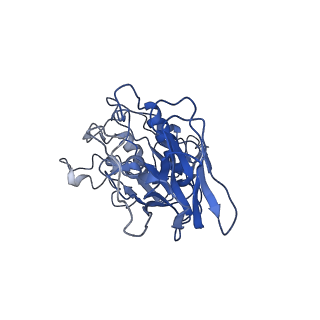 10676_6y3y_A_v1-0
Human Coronavirus HKU1 Haemagglutinin-Esterase