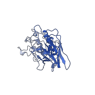 10676_6y3y_A_v2-1
Human Coronavirus HKU1 Haemagglutinin-Esterase