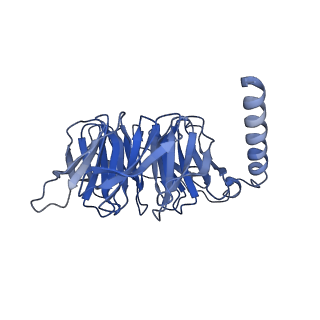 33588_7y35_B_v1-0
Cryo-EM structure of the Abaloparatide-bound human PTH1R-Gs complex