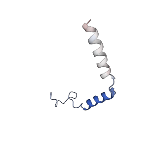 33588_7y35_G_v1-0
Cryo-EM structure of the Abaloparatide-bound human PTH1R-Gs complex