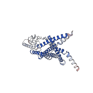 33588_7y35_R_v1-0
Cryo-EM structure of the Abaloparatide-bound human PTH1R-Gs complex
