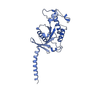 33590_7y36_A_v1-0
Cryo-EM structure of the Teriparatide-bound human PTH1R-Gs complex
