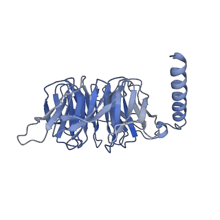 33590_7y36_B_v1-0
Cryo-EM structure of the Teriparatide-bound human PTH1R-Gs complex