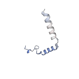 33590_7y36_G_v1-0
Cryo-EM structure of the Teriparatide-bound human PTH1R-Gs complex