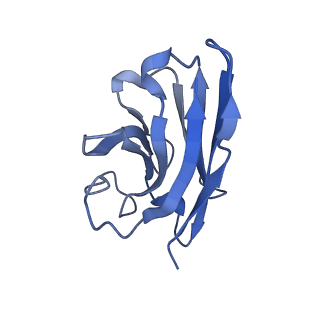 33590_7y36_N_v1-0
Cryo-EM structure of the Teriparatide-bound human PTH1R-Gs complex