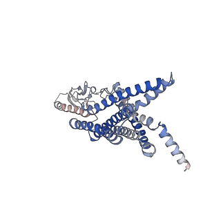 33590_7y36_R_v1-0
Cryo-EM structure of the Teriparatide-bound human PTH1R-Gs complex