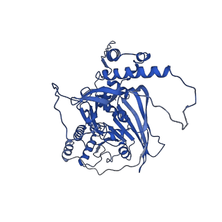 33591_7y38_A_v1-0
Molecular architecture of the chikungunya virus replication complex