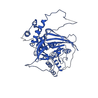 33591_7y38_C_v1-0
Molecular architecture of the chikungunya virus replication complex
