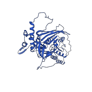 33591_7y38_D_v1-0
Molecular architecture of the chikungunya virus replication complex