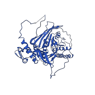 33591_7y38_E_v1-0
Molecular architecture of the chikungunya virus replication complex