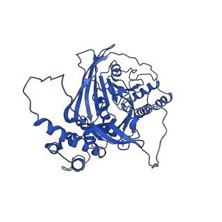 33591_7y38_F_v1-0
Molecular architecture of the chikungunya virus replication complex