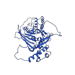 33591_7y38_H_v1-0
Molecular architecture of the chikungunya virus replication complex