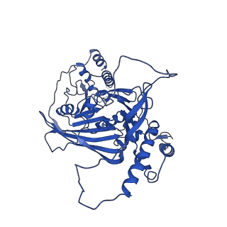33591_7y38_I_v1-0
Molecular architecture of the chikungunya virus replication complex