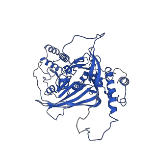 33591_7y38_J_v1-0
Molecular architecture of the chikungunya virus replication complex