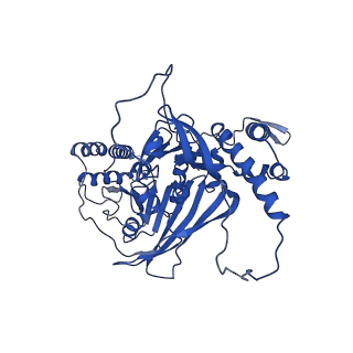 33591_7y38_K_v1-0
Molecular architecture of the chikungunya virus replication complex