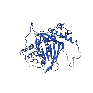 33591_7y38_L_v1-0
Molecular architecture of the chikungunya virus replication complex