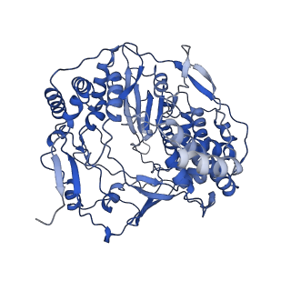 33591_7y38_X_v1-0
Molecular architecture of the chikungunya virus replication complex