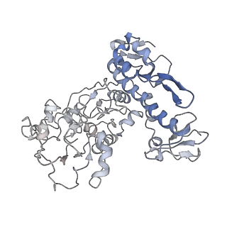 33591_7y38_Y_v1-0
Molecular architecture of the chikungunya virus replication complex
