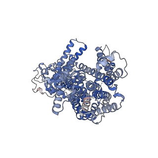 33592_7y3e_A_v1-0
Cryo-EM structure of Arabidopsis thaliana SOS1 in an occluded state