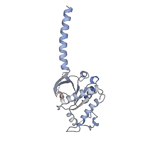 33594_7y3g_A_v1-0
Cryo-EM structure of a class A orphan GPCR
