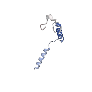 33594_7y3g_G_v1-0
Cryo-EM structure of a class A orphan GPCR