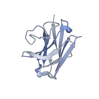 33594_7y3g_N_v1-0
Cryo-EM structure of a class A orphan GPCR