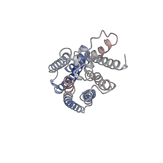 33594_7y3g_R_v1-0
Cryo-EM structure of a class A orphan GPCR
