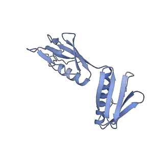 33599_7y41_G_v1-0
Mycobacterium smegmatis 50S ribosomal subunit from Log Phase of growth