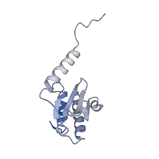 33599_7y41_P_v1-0
Mycobacterium smegmatis 50S ribosomal subunit from Log Phase of growth