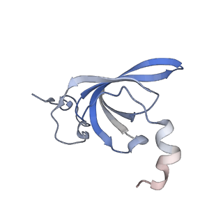 33599_7y41_Q_v1-0
Mycobacterium smegmatis 50S ribosomal subunit from Log Phase of growth