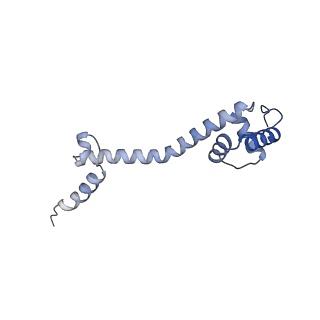 33599_7y41_R_v1-0
Mycobacterium smegmatis 50S ribosomal subunit from Log Phase of growth