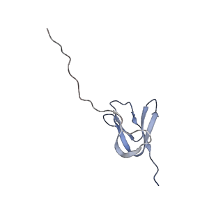 33599_7y41_X_v1-0
Mycobacterium smegmatis 50S ribosomal subunit from Log Phase of growth