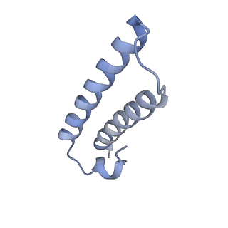33599_7y41_Z_v1-0
Mycobacterium smegmatis 50S ribosomal subunit from Log Phase of growth