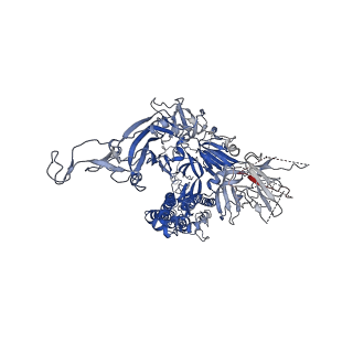 33600_7y42_A_v1-2
Cryo-EM structure of the SARS-CoV-2 spike glycoprotein in complex with all-trans retinoic acid