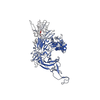 33600_7y42_B_v1-2
Cryo-EM structure of the SARS-CoV-2 spike glycoprotein in complex with all-trans retinoic acid