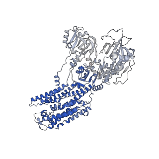 33601_7y45_A_v1-1
Cryo-EM structure of the Na+,K+-ATPase in the E2.2K+ state